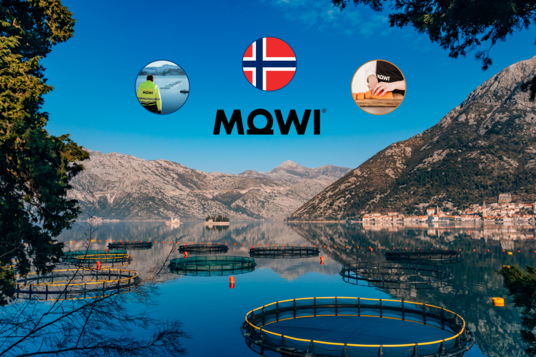 Why Investing in MOWI can be lucrative for Growth Investors.
